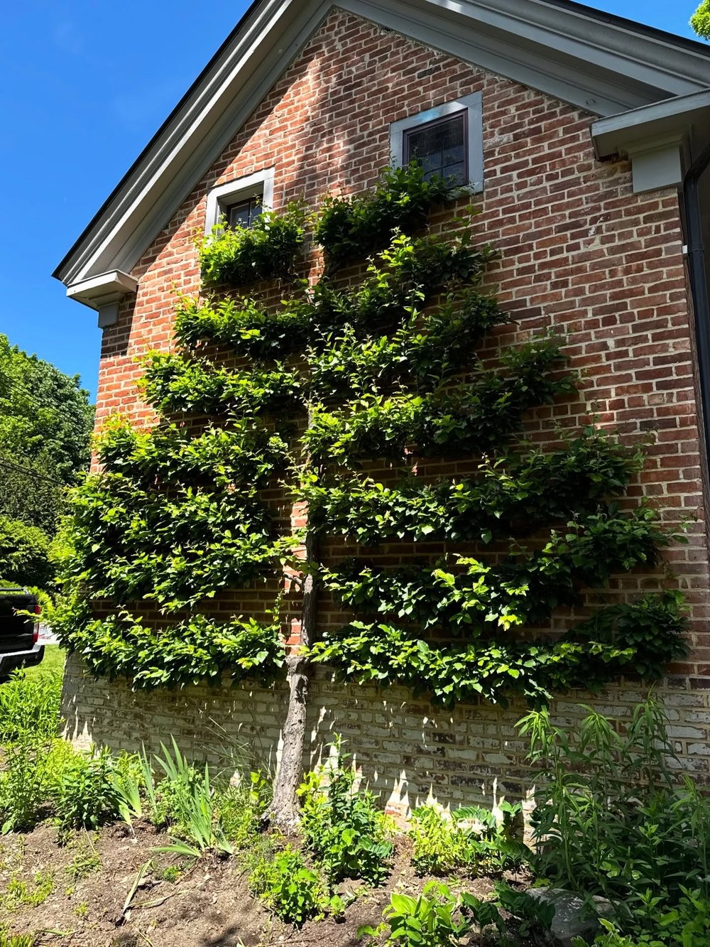 Leslie Bibb Shares Glimpse At Renovations At Upstate New York Home